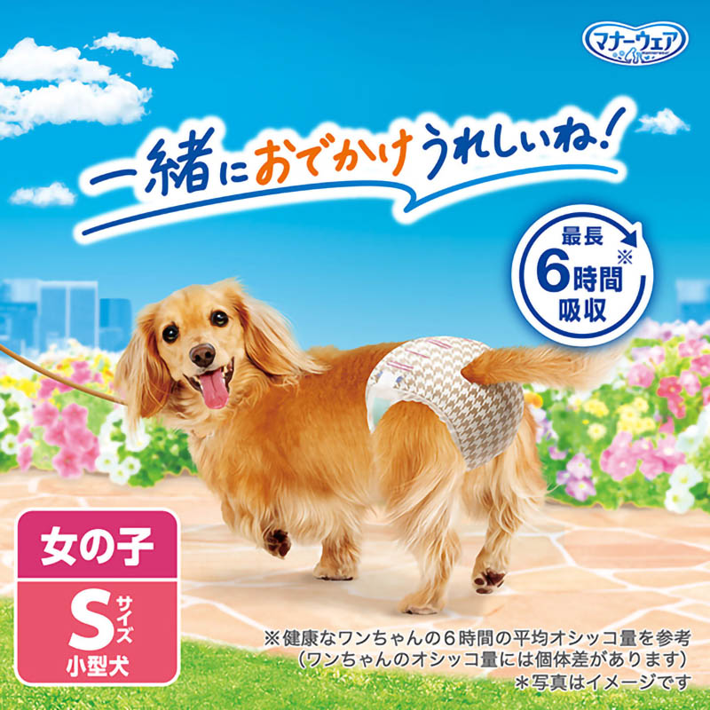 マナーウェア 女の子用 S 36枚