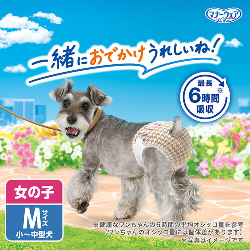マナーウェア 女の子用 M 34枚