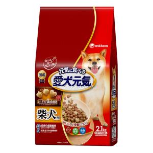 愛犬元気 柴犬用ビーフ・緑黄色野菜・小魚入り2.1kg