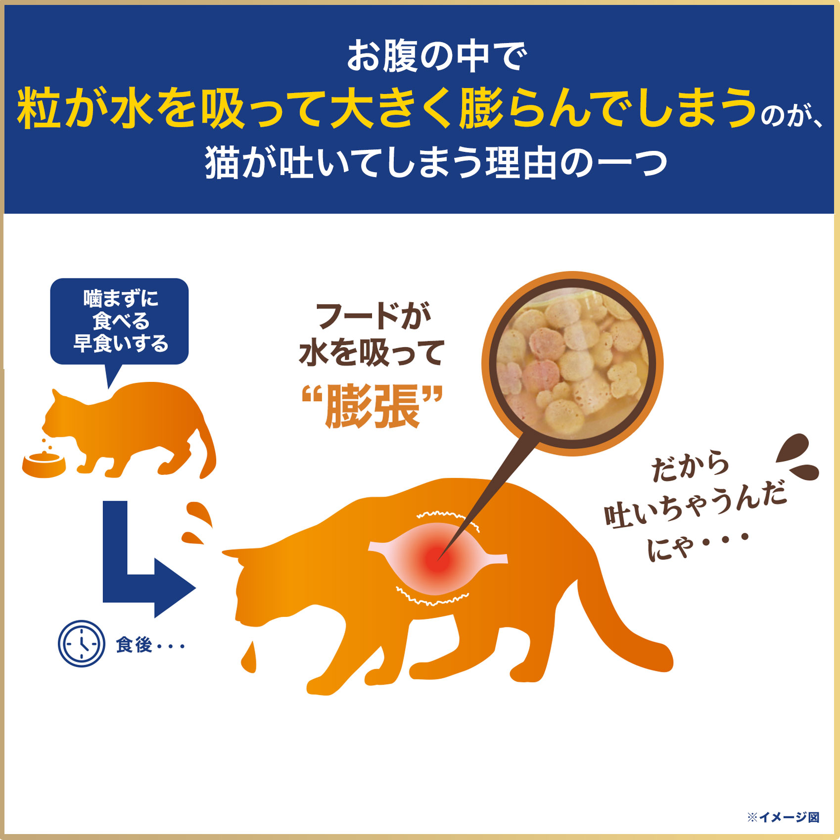 【お取り寄せ商品】オールウェル 成猫の腎臓の健康維持用フィッシュ味 挽き小魚とささみフリーズドライパウダー入り 2.4kg