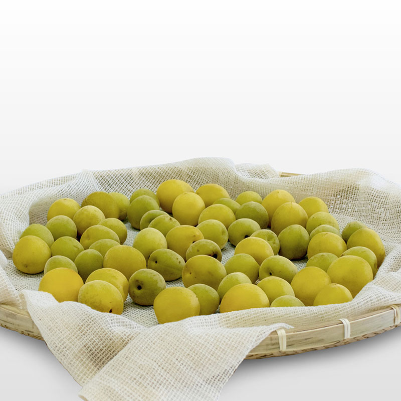 蒸し布 2～3升用(68×68cm)