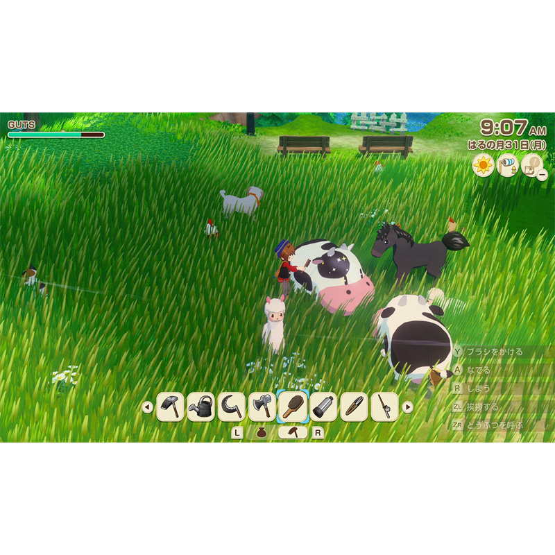 【sw2】牧場物語 Lets！ 風のグランドバザール　Nintendo Switch 2 Edition