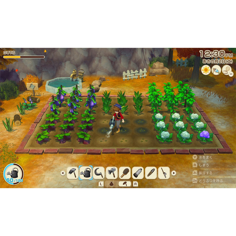 【sw2】牧場物語 Lets！ 風のグランドバザール　Nintendo Switch 2 Edition