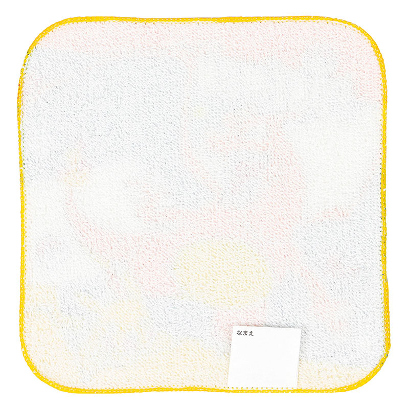 プチタオル ポケットモンスター 16×16cm 3枚組 PM473800