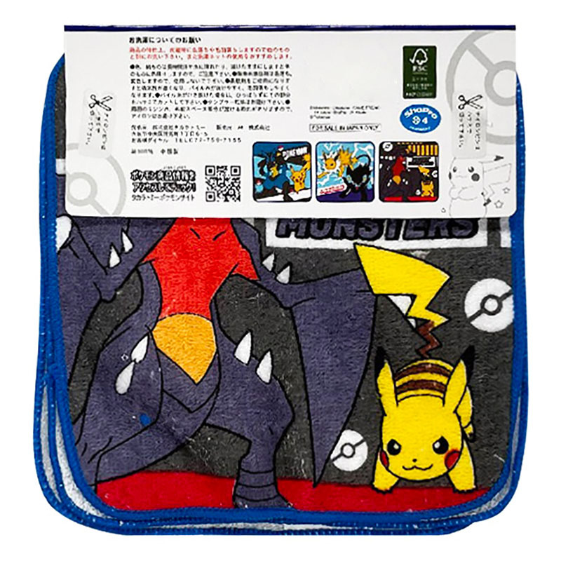 プチタオル ポケットモンスター 16×16cm 3枚組 PM473900