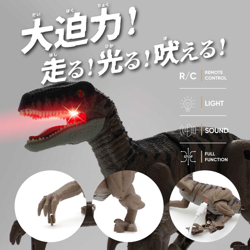R｜C ダイナソーリーダー 蘇る！ヴェロキラプトル TS082