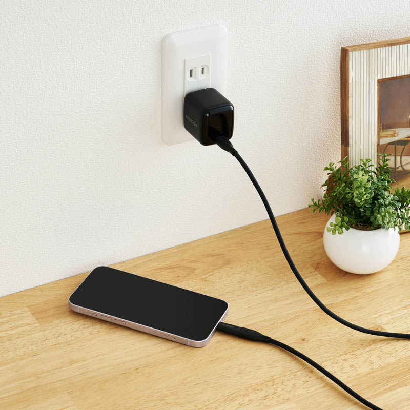 【お取り寄せ商品】UCB変換アダプター USBType-C Lightning USB Power Delivery対応 ブラック