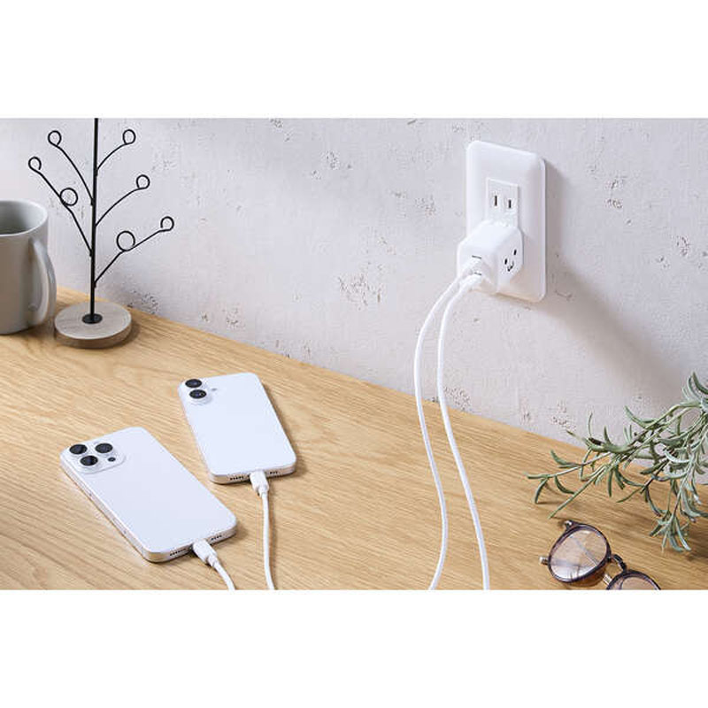 【お取り寄せ商品】USB Power Delivery 40W AC充電器(C×2) しろちゃん