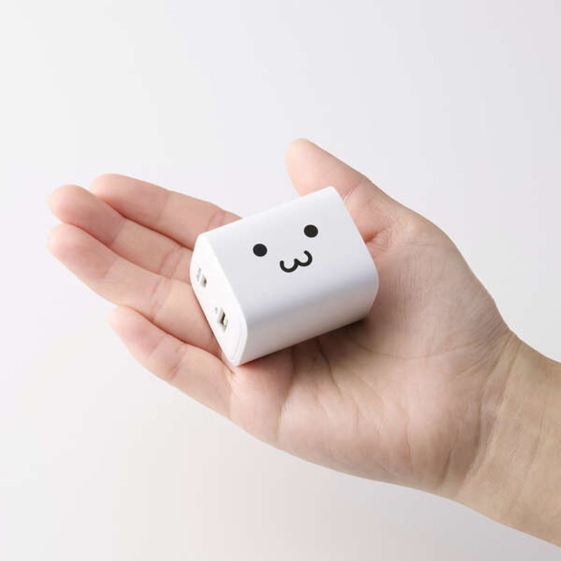 USB Power Delivery 45W AC充電器(C×1+A×1) しろちゃん