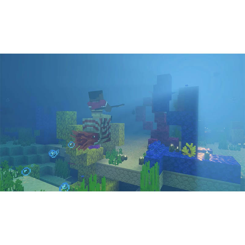 【SW2】Minecraft