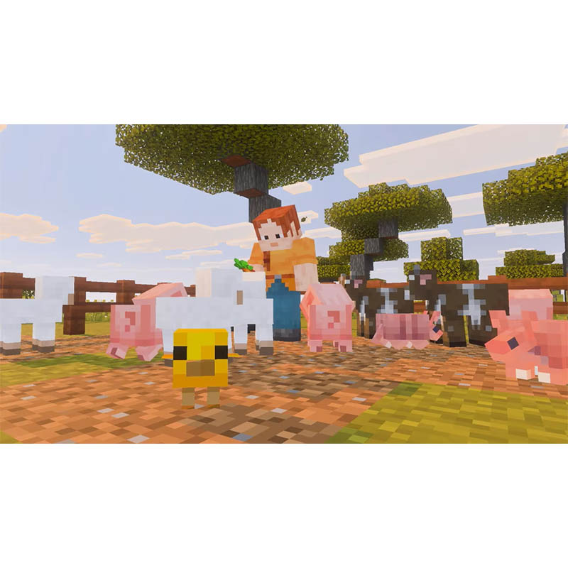 【SW2】Minecraft