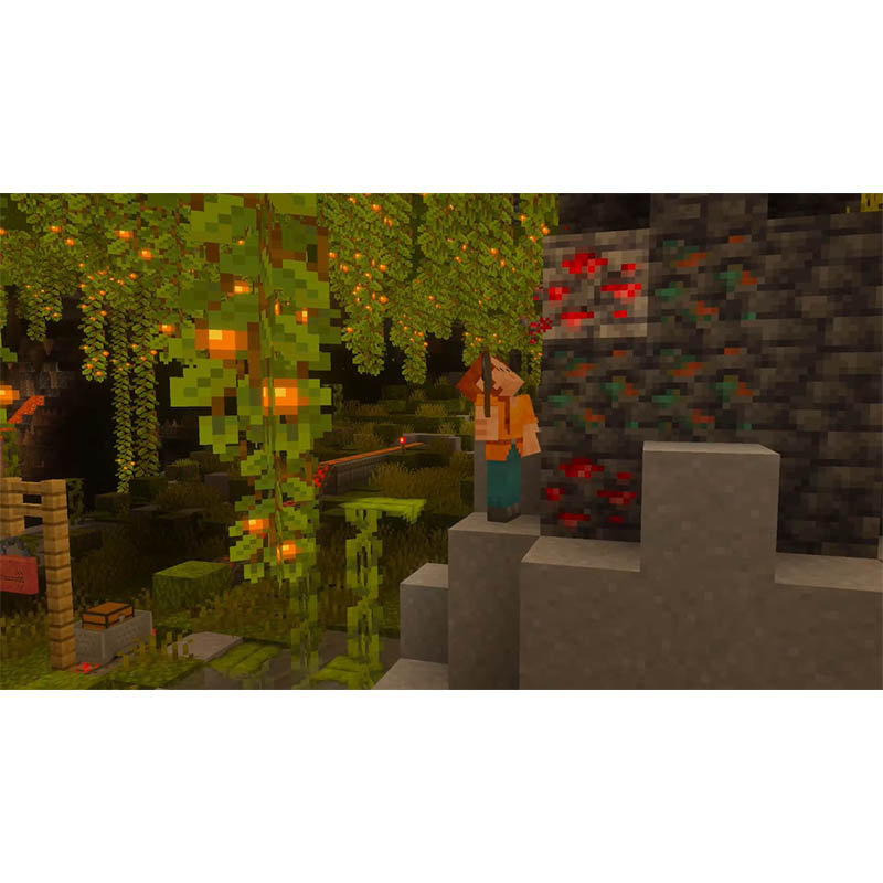 【SW2】Minecraft