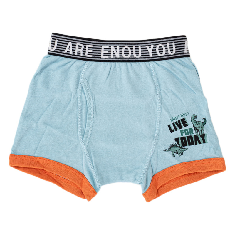 キッズ 綿100% ボクサーブリーフ 2枚組