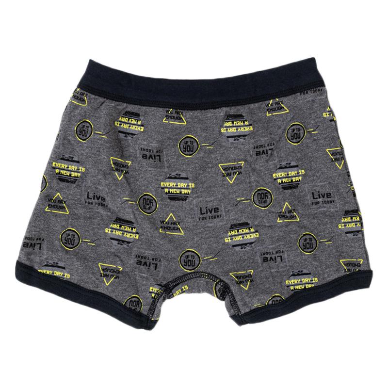 キッズ 綿100% ボクサーブリーフ 2枚組