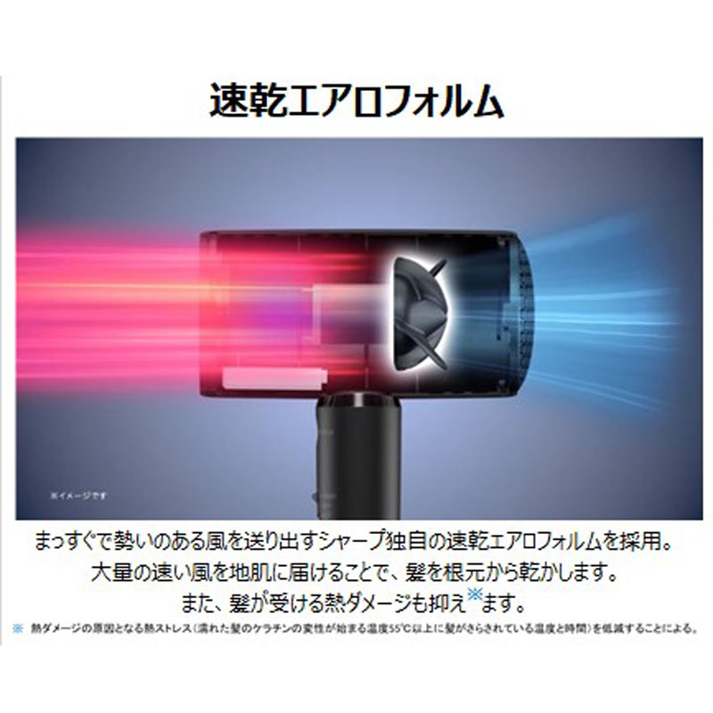 ★【お取り寄せ商品】プラズマクラスター ドレープフロードライヤー IB-P801W ミナスホワイト