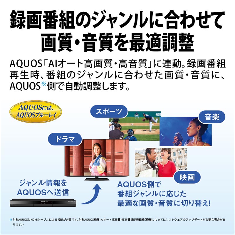 AQUOS ブルーレイ 2B-C10GW1 20