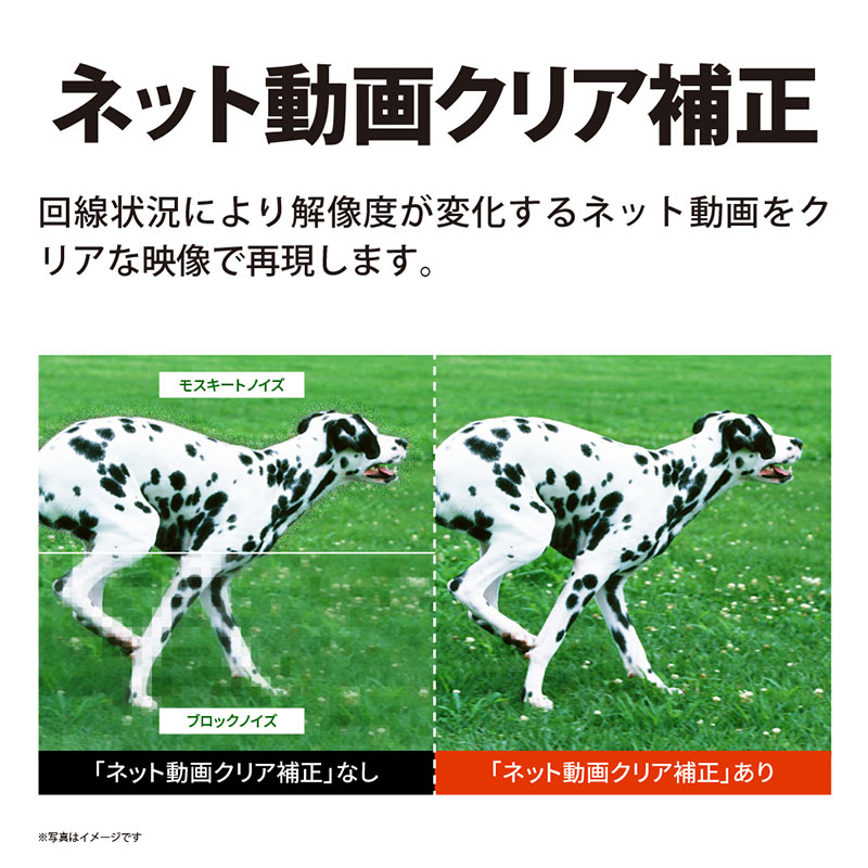 AQUOS 43V型 4K液晶テレビ 4T-C43GJ1