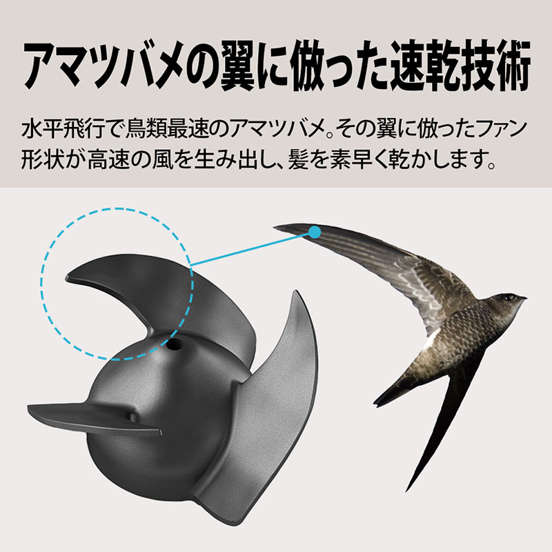 プラズマクラスタードライヤー IB-P802B ミッドナイトブラック