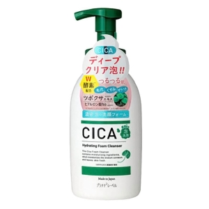 プラチナレーベル CICA酵素泡洗顔 本体 450ml
