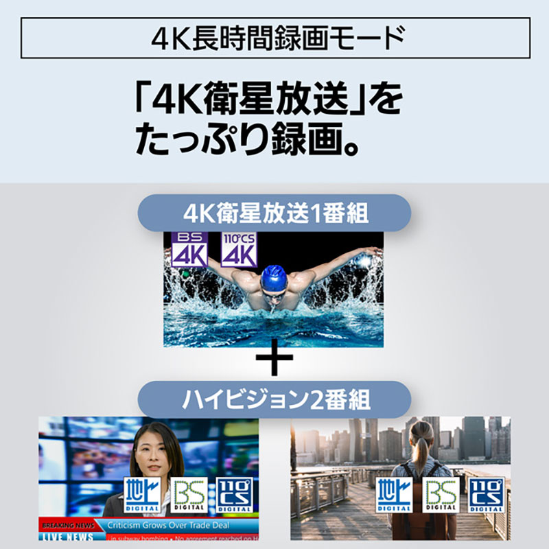 【お取り寄せ商品】ブルーレイレコーダー 4K ディーガ DMR-4TS204S