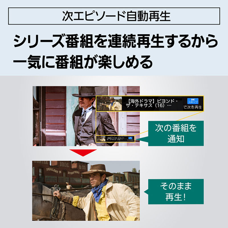 【お取り寄せ商品】ブルーレイレコーダー 4K ディーガ DMR-4TS204S