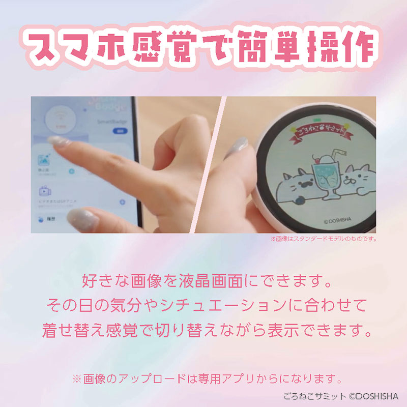 スマートバッジ エントリー ライトグレー EB160TSL