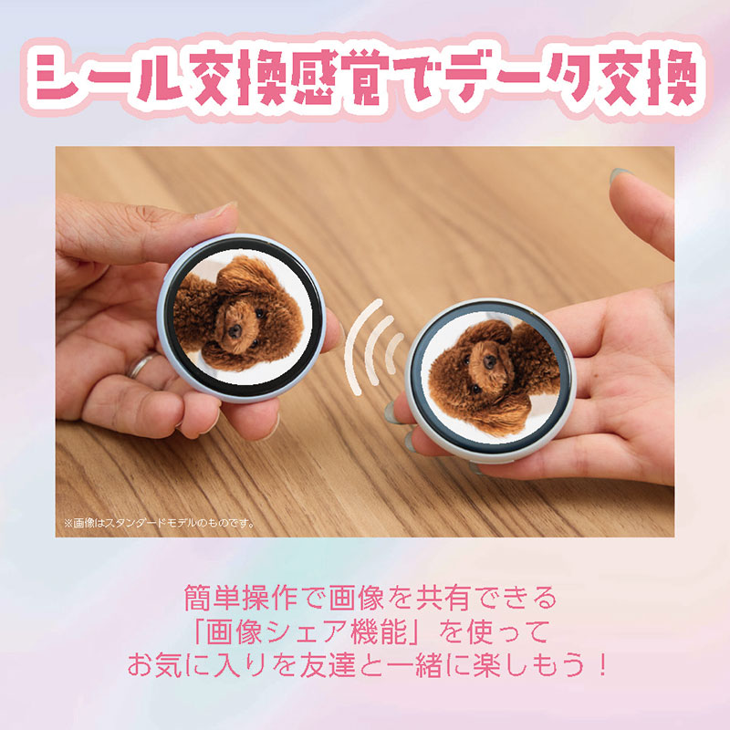 スマートバッジ エントリー ペールピンク EB160TSP