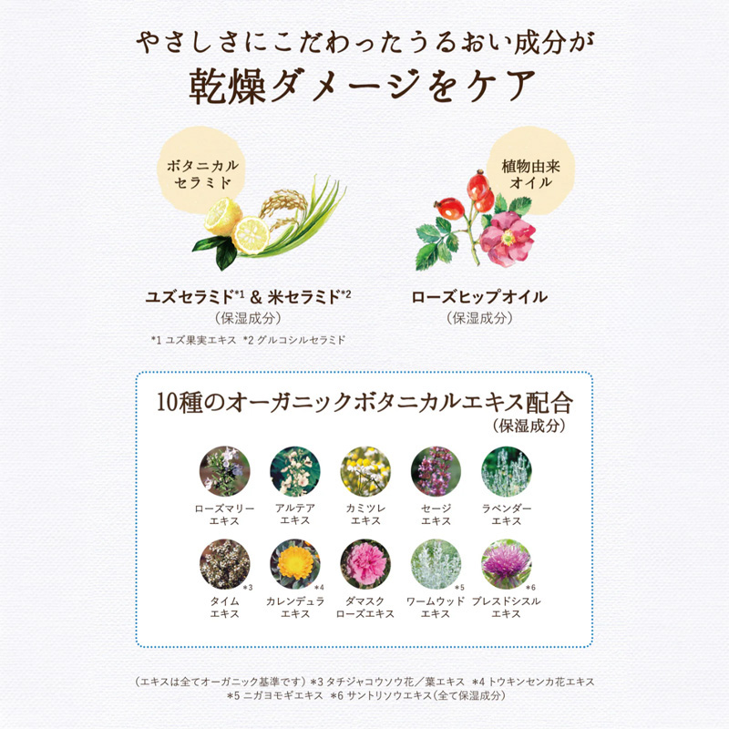 ボディミルク ダイアンボタ ミルクフルーティ 500ml
