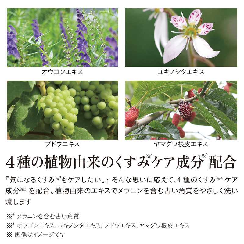 インティメートウォッシュ 泡タイプ デリケートゾーン専用 ベルガモットのビターオレンジの香 150ml