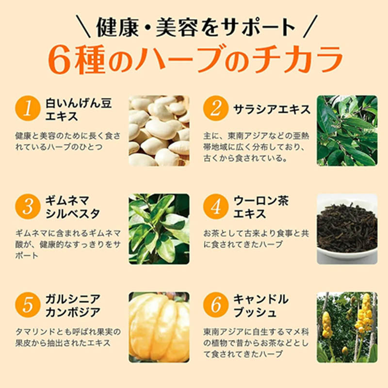 スベルティ ぱっくん分解酵母 120粒