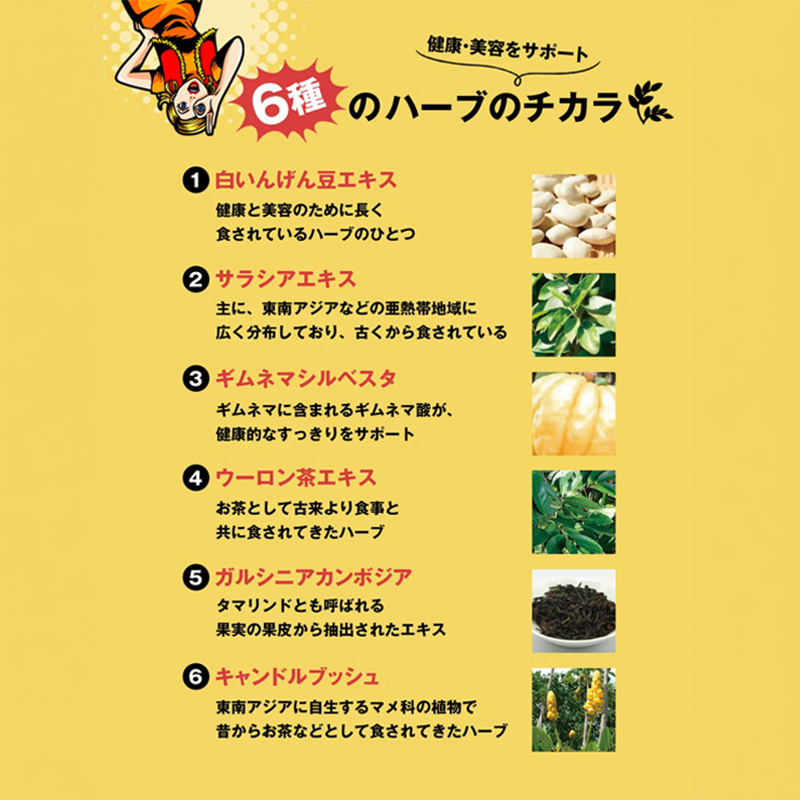 スベルティ 3倍ぱっくん分解酵母 100粒