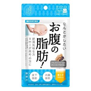 サプリメント なんとかしたいお腹の脂肪! 28粒