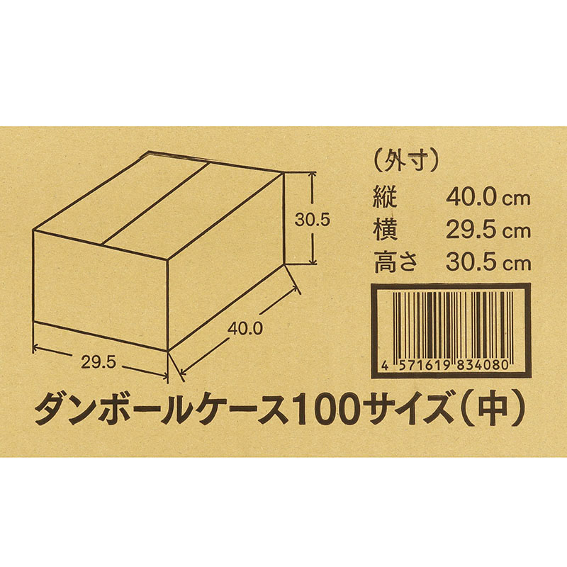 ダンボールケース 中 100サイズ