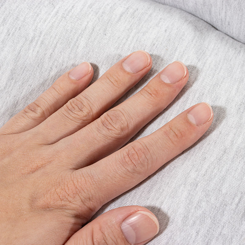 ペットベッド Sサイズ 45×35×14cm ブルー