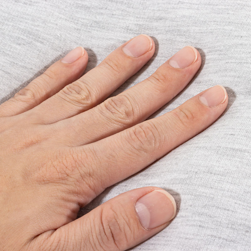 ペットベッド Mサイズ 55×45×14cm ブルー