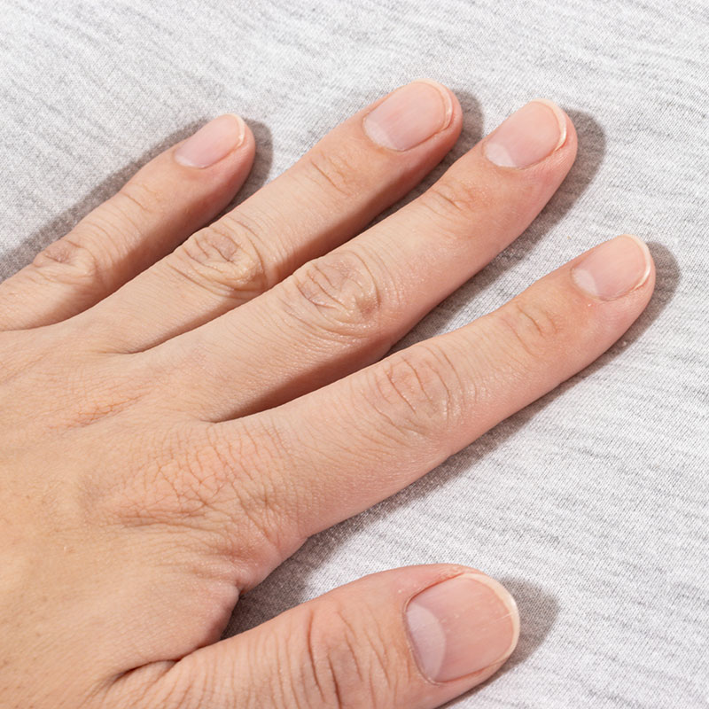 ペットベッド ストライプ Mサイズ 55×45×14cm ブルー