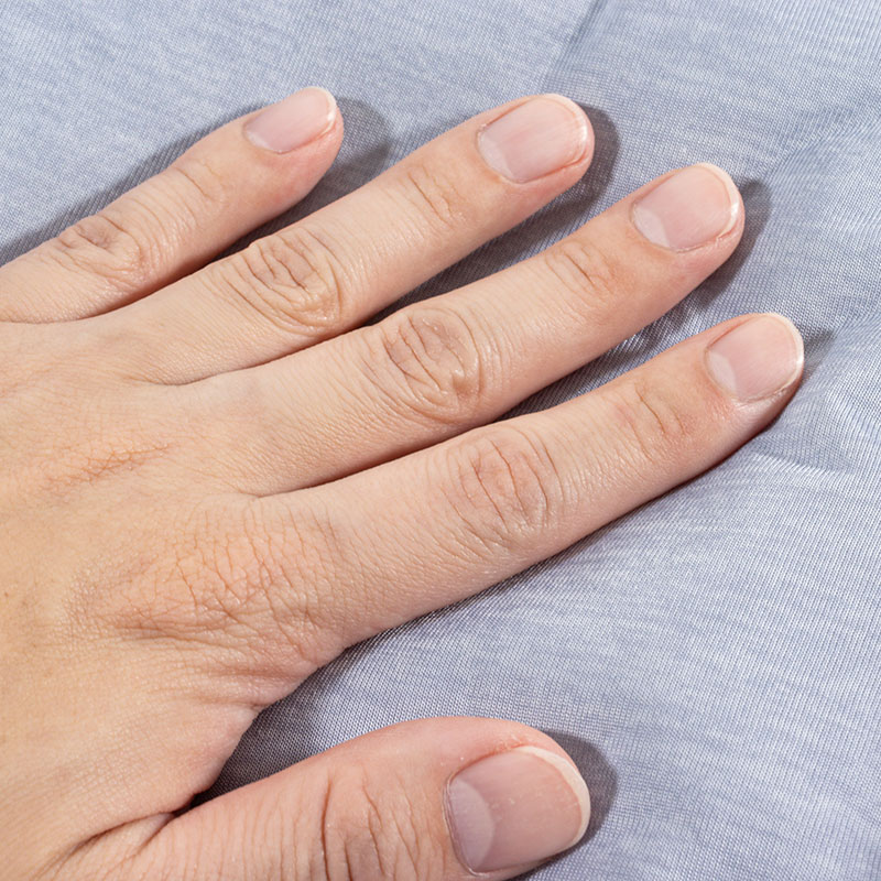 冷感ラウンドベッド 50×50×15cm ブルー