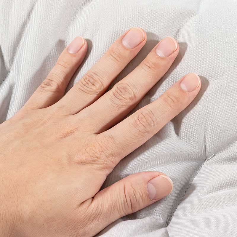 冷感ペットベッド Mサイズ 55×45×14cm パープル