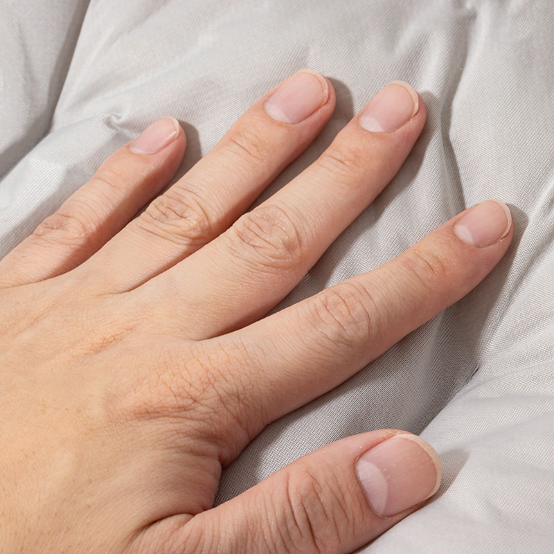 冷感ペットベッド Mサイズ 55×45×14cm グレー