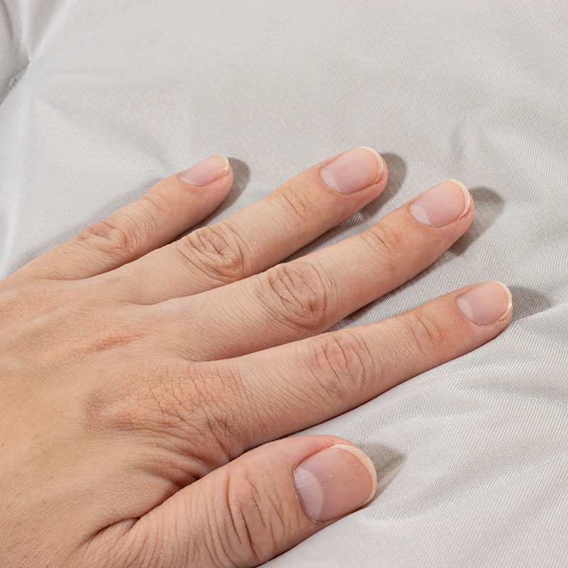 冷感ペットベッド Lサイズ 65×55×14cm パープル