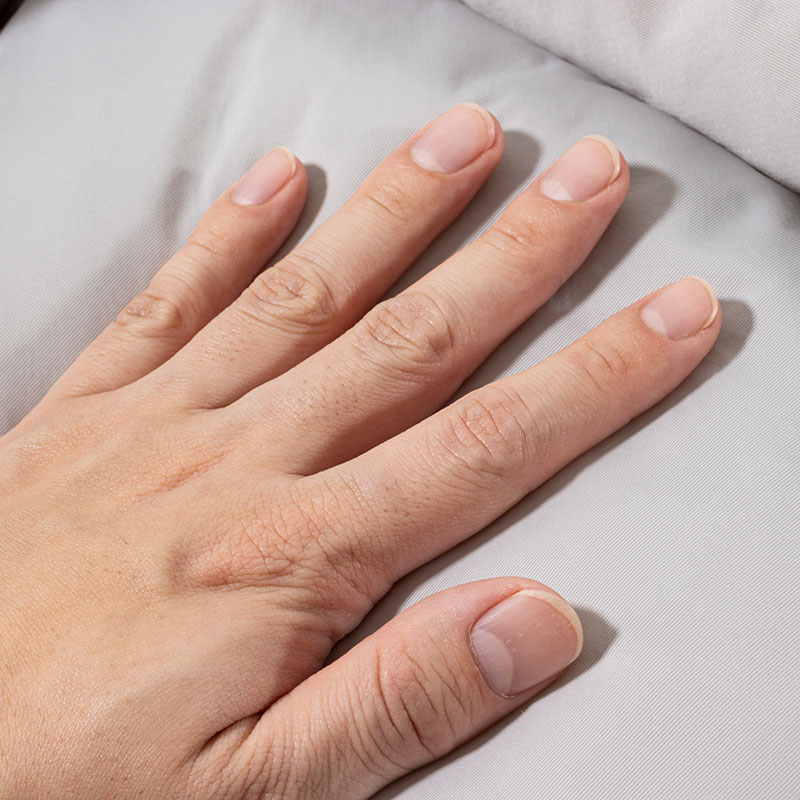 強冷感ペットベッド Sサイズ 45×35×14cm グレー