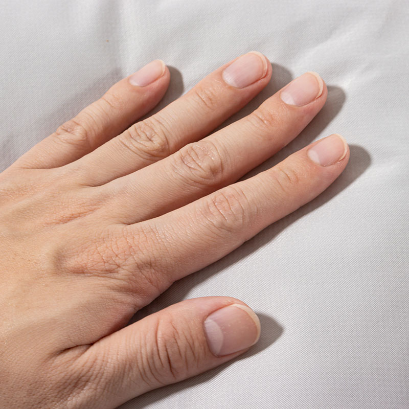 強冷感ペットベッド Mサイズ 55×45×14cm グレー