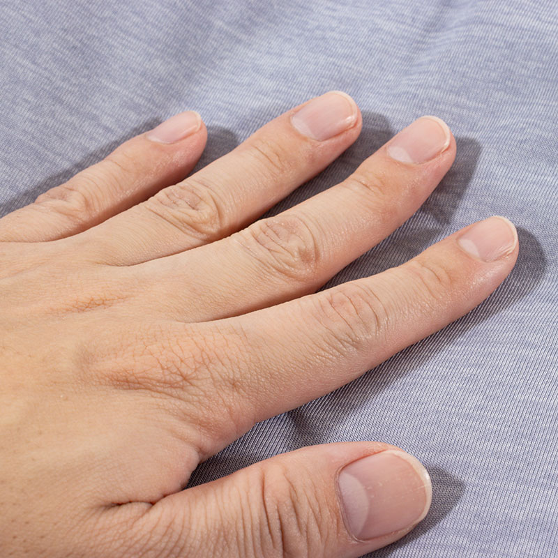 冷感ペットマット Mサイズ 60×50×7cm パープル