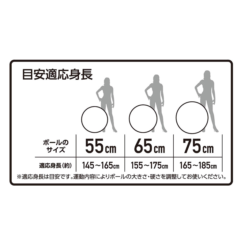 おうちトレーニング、はじめるなら バランスボール 55cm グリーン 空気入れ付き