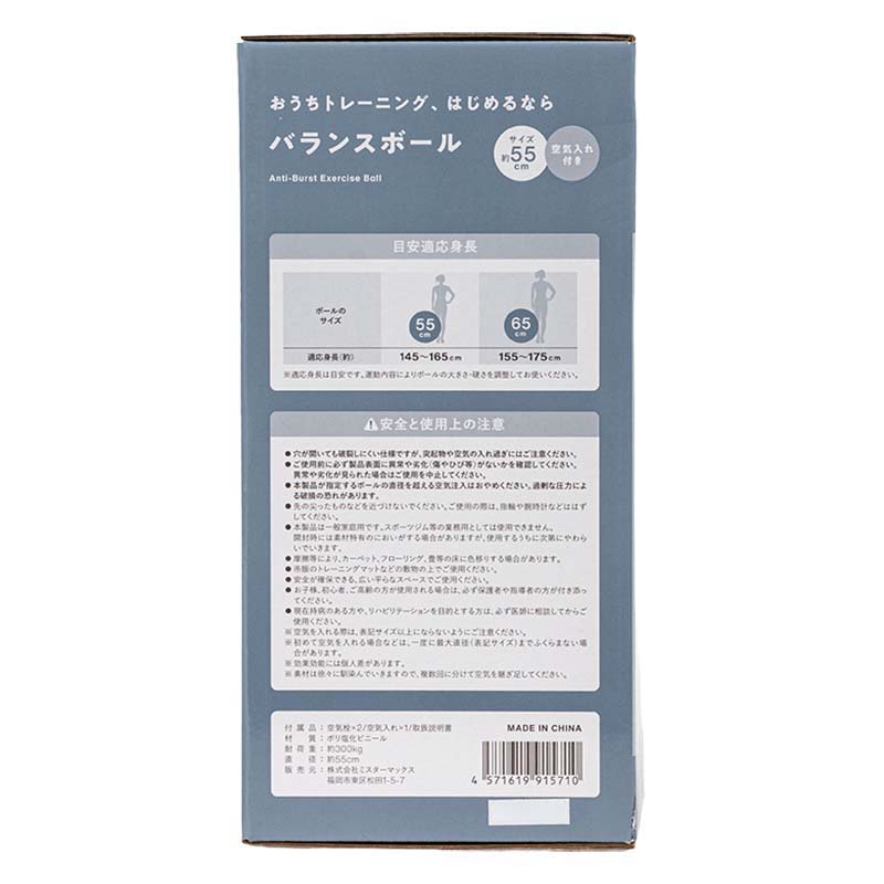おうちトレーニング、はじめるなら バランスボール 55cm ラベンダー 空気入れ付き