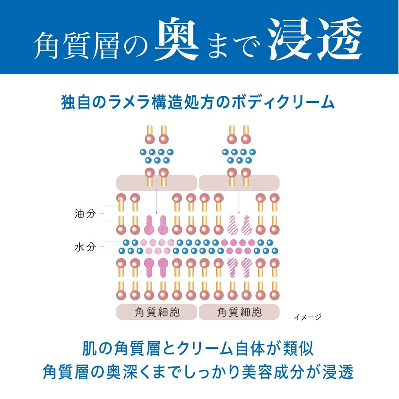 スキンコットン 濃厚リペア ボディクリーム 200g コットンサボン