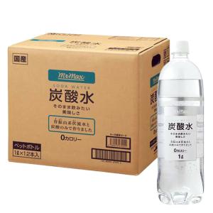 炭酸水 1箱（1L×12本）