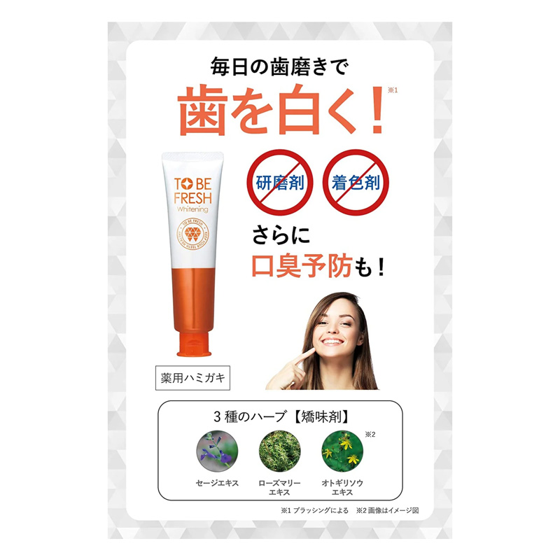 トゥービー フレッシュ 薬用デンタルペースト 100g