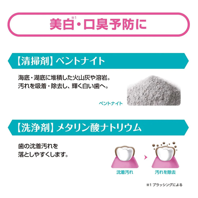 トゥービー フレッシュ 薬用デンタルペースト 100g