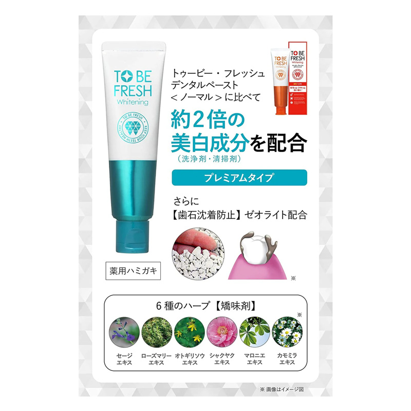 トゥービー フレッシュ 薬用デンタルペーストプレミアム 60g
